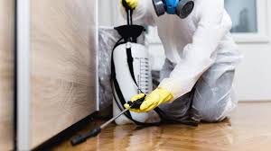 Best Fumigation Services  in Shields, MI